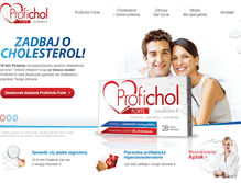 Tablet Screenshot of profichol.com